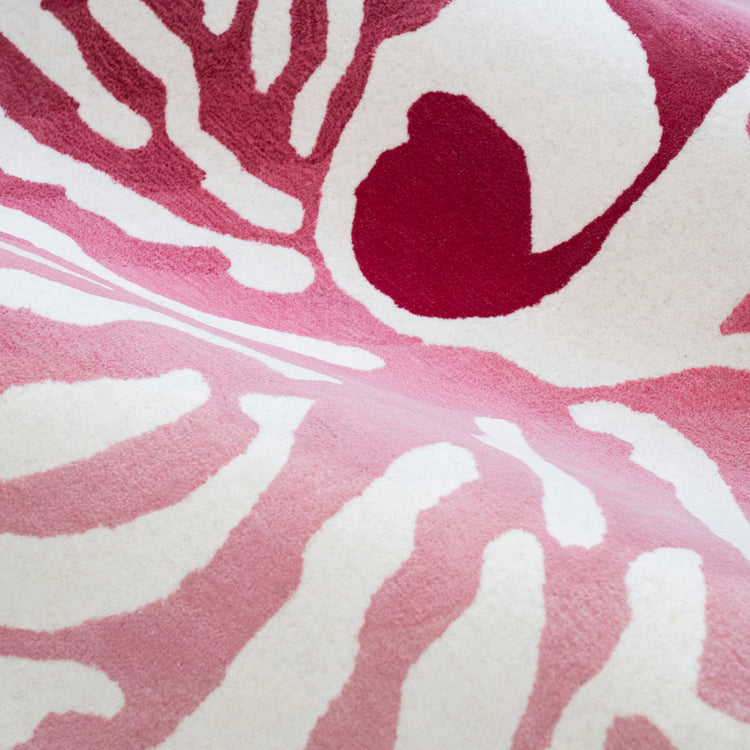 Nautilus Pink Rug